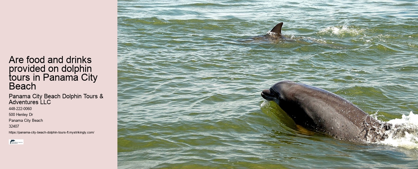 Panama City Dolphin Tours And More