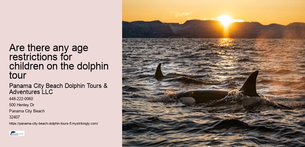 Are there any age restrictions for children on the dolphin tour