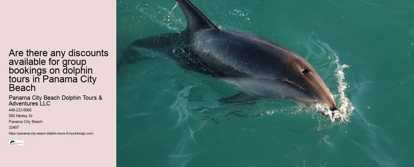 Dolphin encounters at Panama City Beach