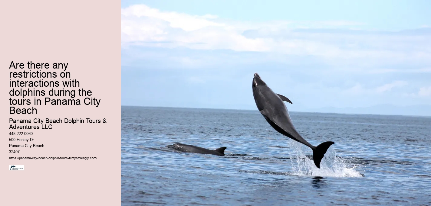 Are there any restrictions on interactions with dolphins during the tours in Panama City Beach