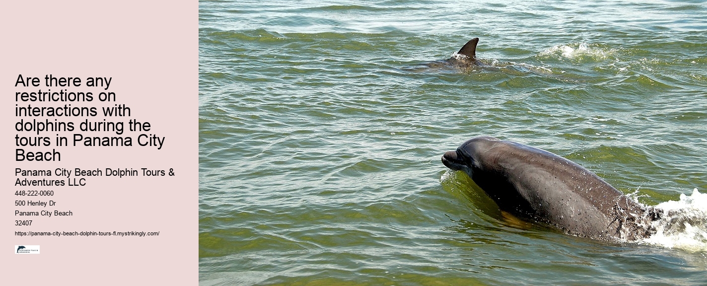 Marine mammal research