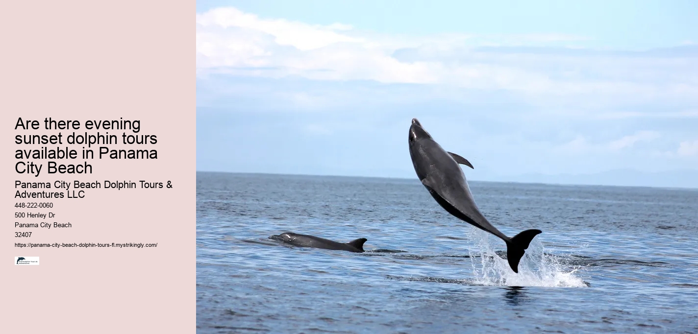 Are there evening sunset dolphin tours available in Panama City Beach