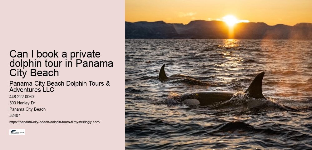 Can I book a private dolphin tour in Panama City Beach