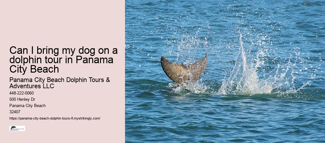 Can I bring my dog on a dolphin tour in Panama City Beach