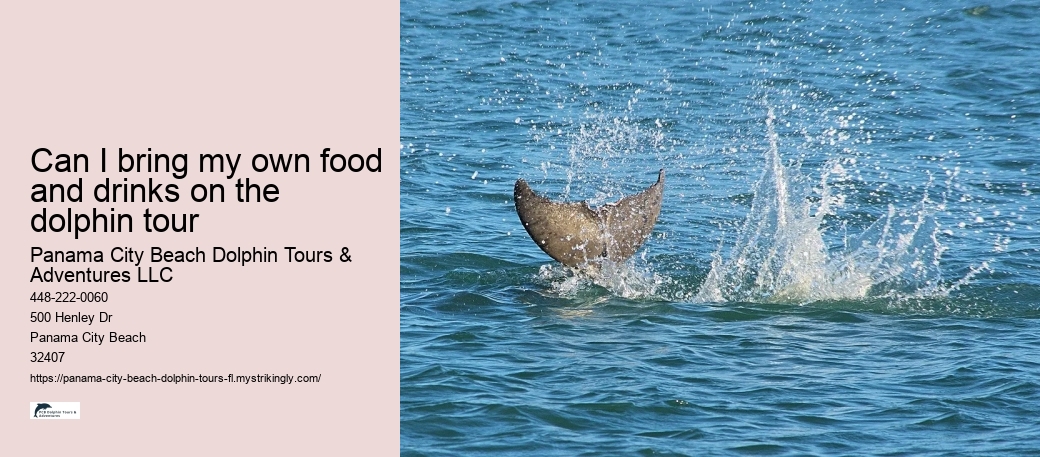 Can I bring my own food and drinks on the dolphin tour