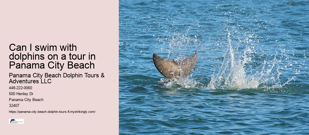 Can I swim with dolphins on a tour in Panama City Beach