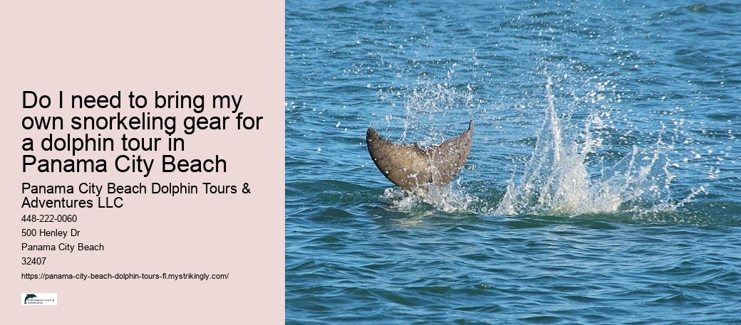 Do I need to bring my own snorkeling gear for a dolphin tour in Panama City Beach