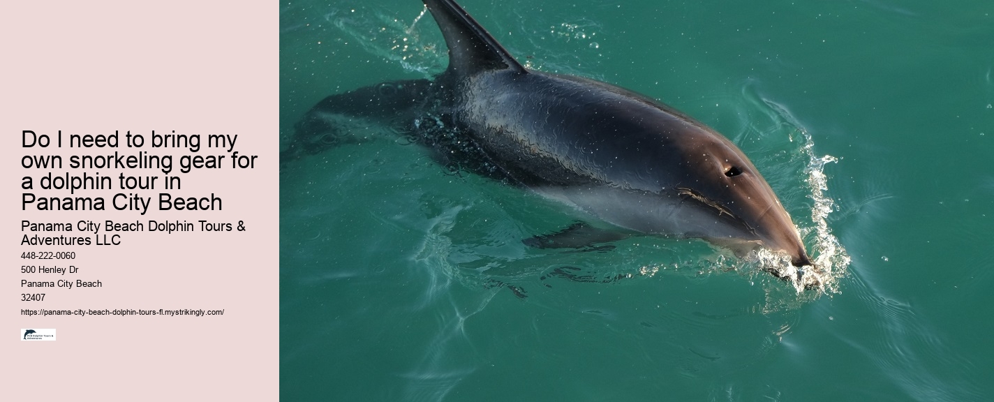 Are dolphin tours in Panama City Beach suitable for children