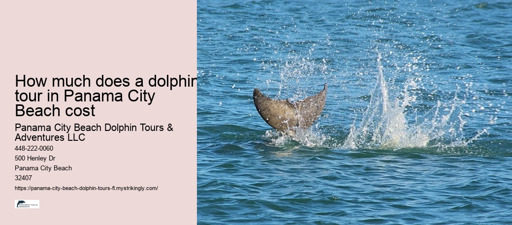 How much does a dolphin tour in Panama City Beach cost