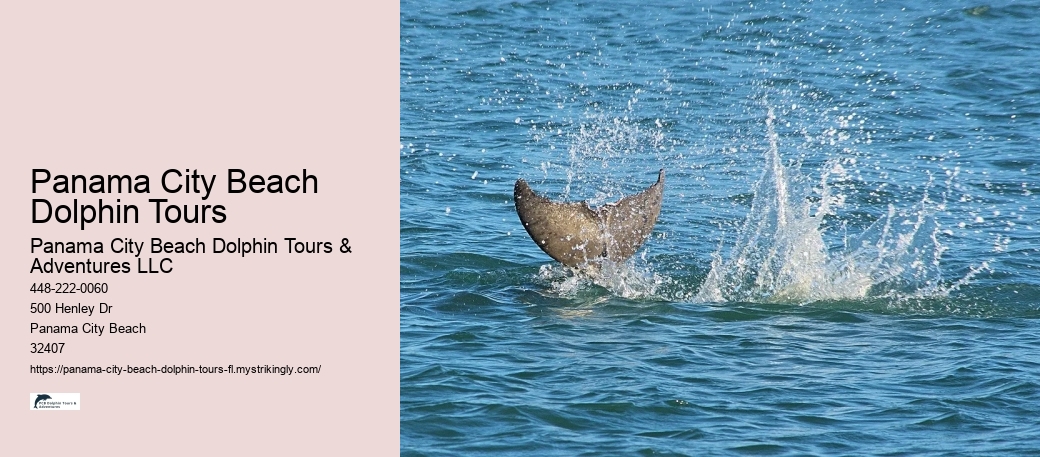 Panama City Beach Dolphin Tours