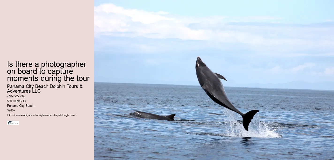 Is there a photographer on board to capture moments during the tour