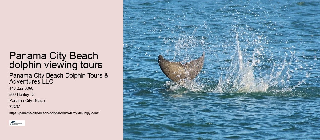 Panama City Beach dolphin viewing tours