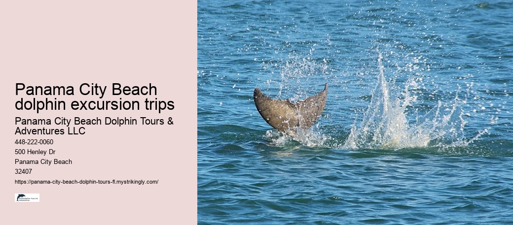 Panama City Beach dolphin excursion trips