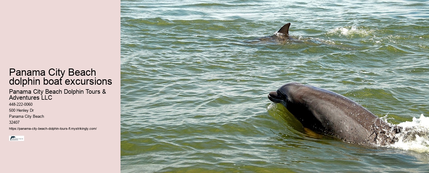 Panama City Dolphin