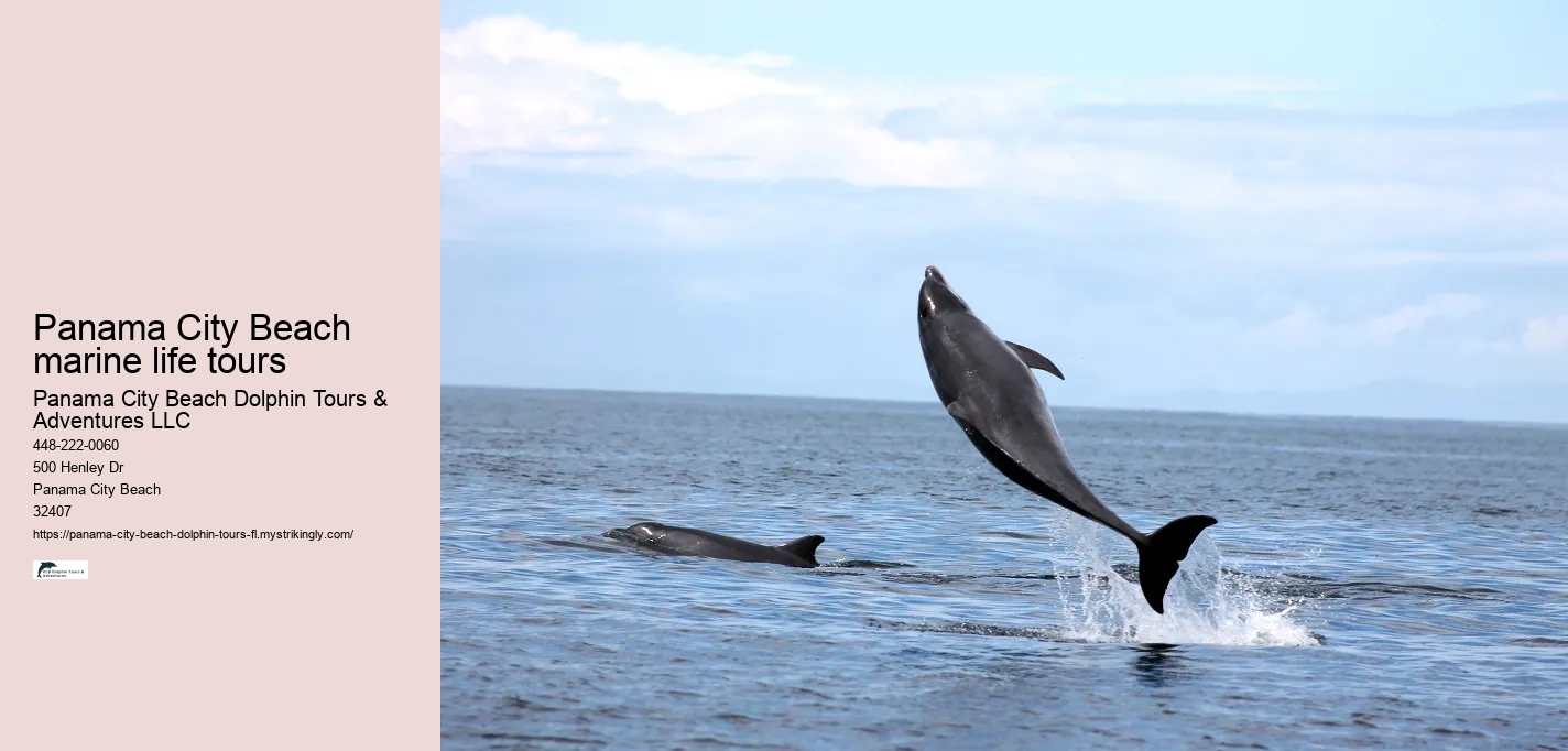 Panama City Beach marine life tours