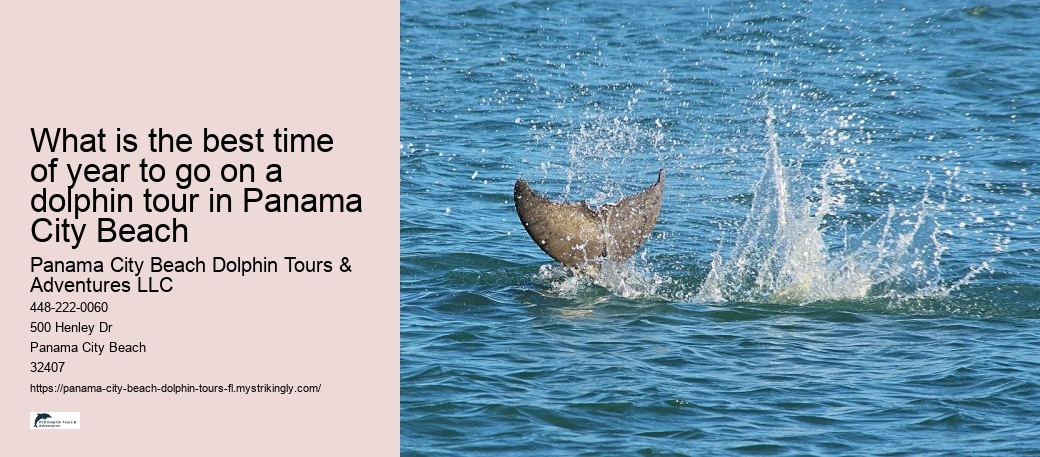 What is the best time of year to go on a dolphin tour in Panama City Beach